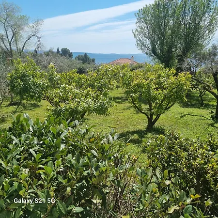 Oasis Appartamento *